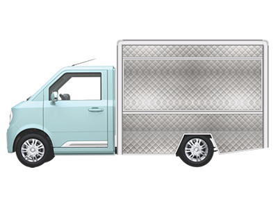 Push Cart Food Ajijic